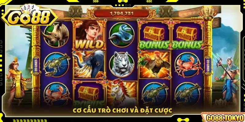 Hệ thống gameplay và cách đặt cược